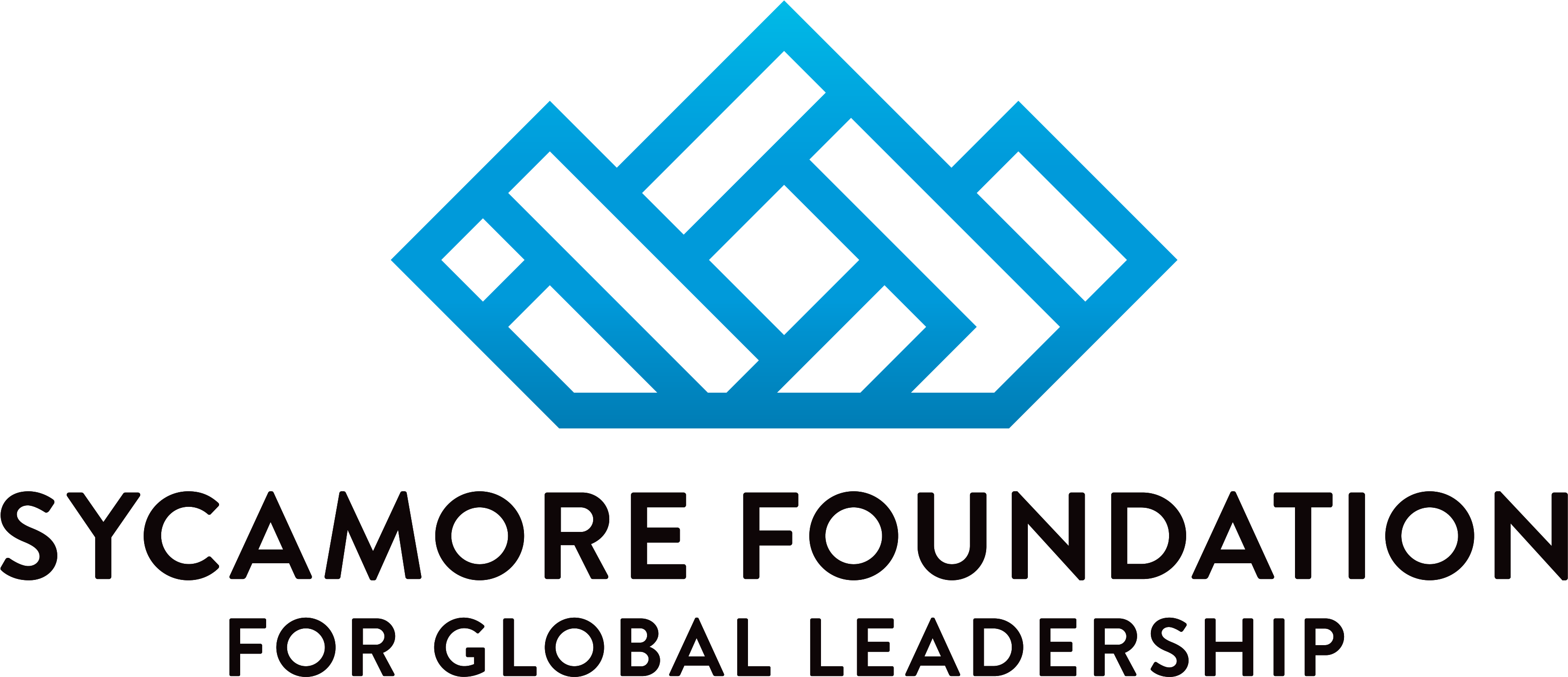 Sycamore Foundation for Global Leadership